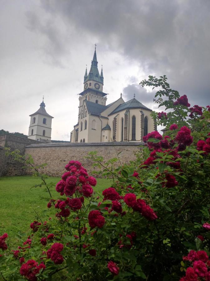 Krizkov Dom Lejlighed Kremnica Eksteriør billede