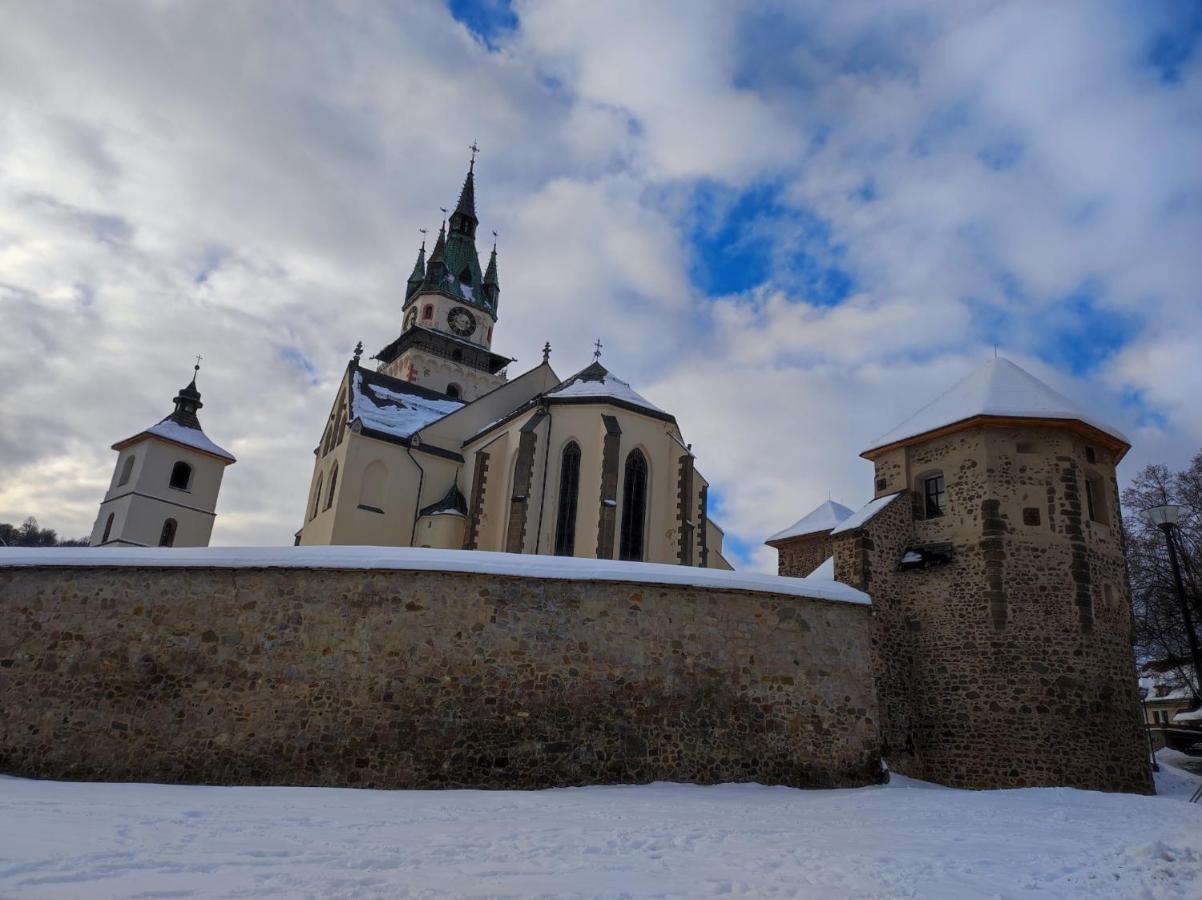 Krizkov Dom Lejlighed Kremnica Eksteriør billede